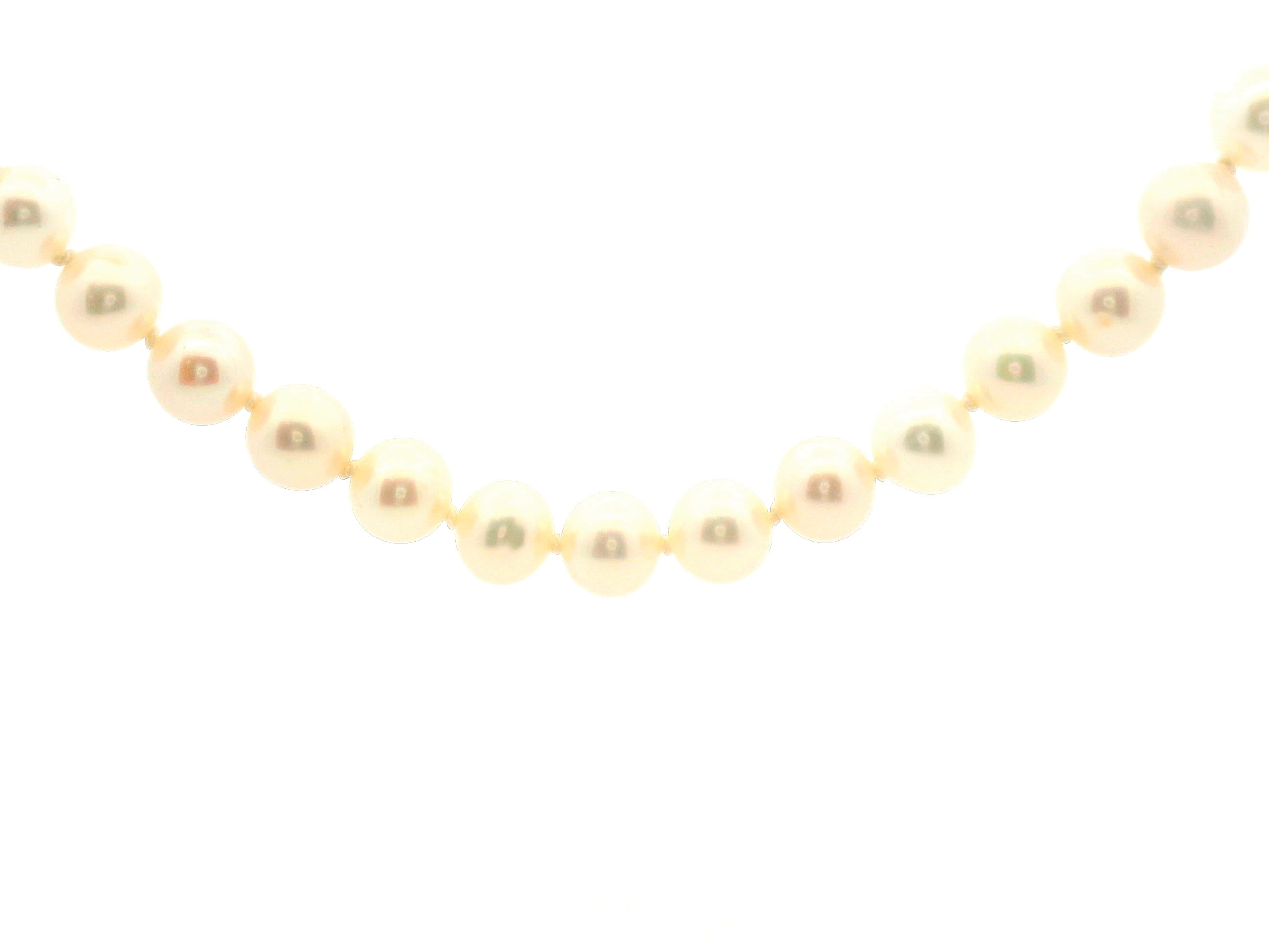 Pearl Necklace