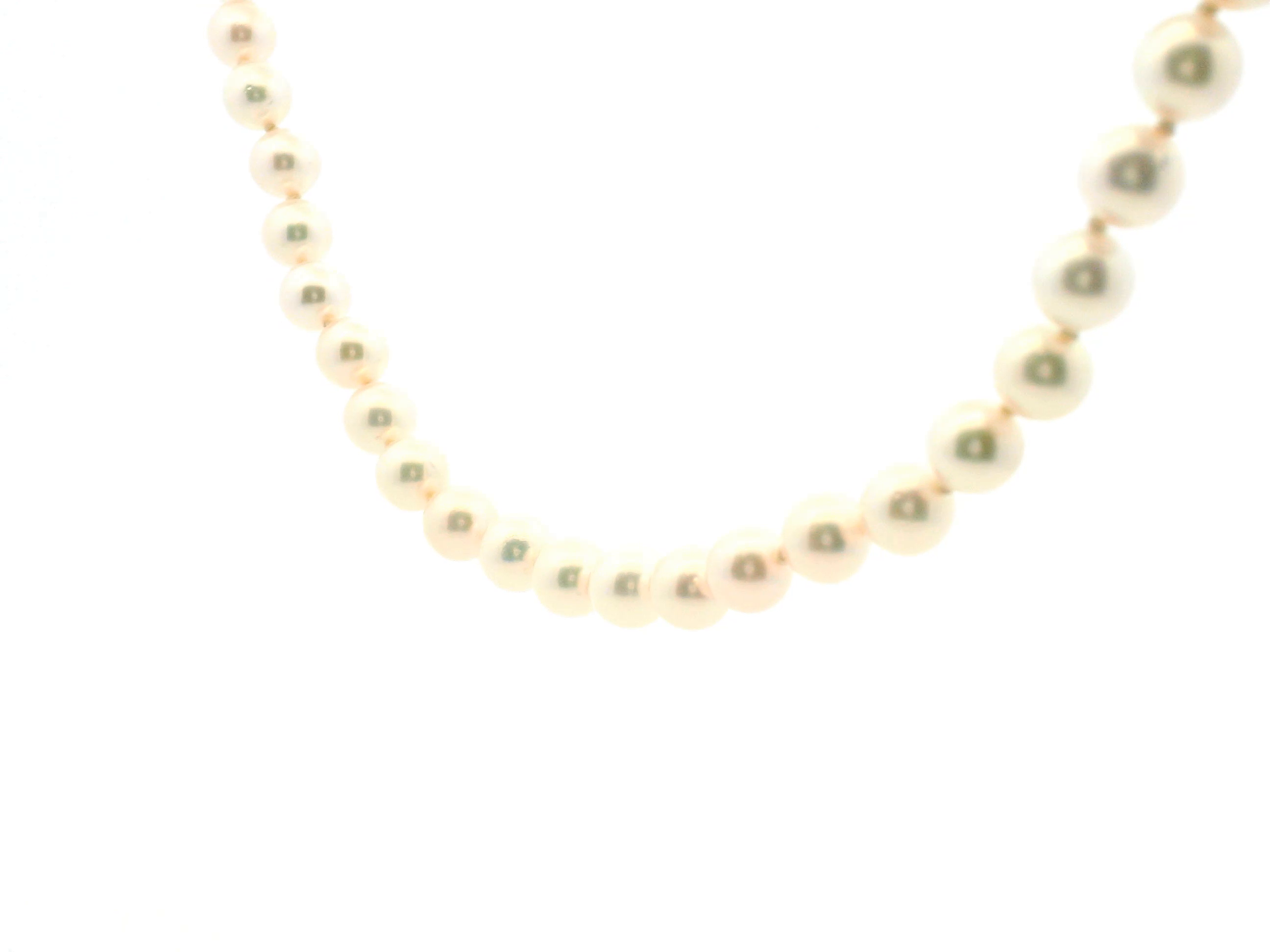 Pearl Necklace