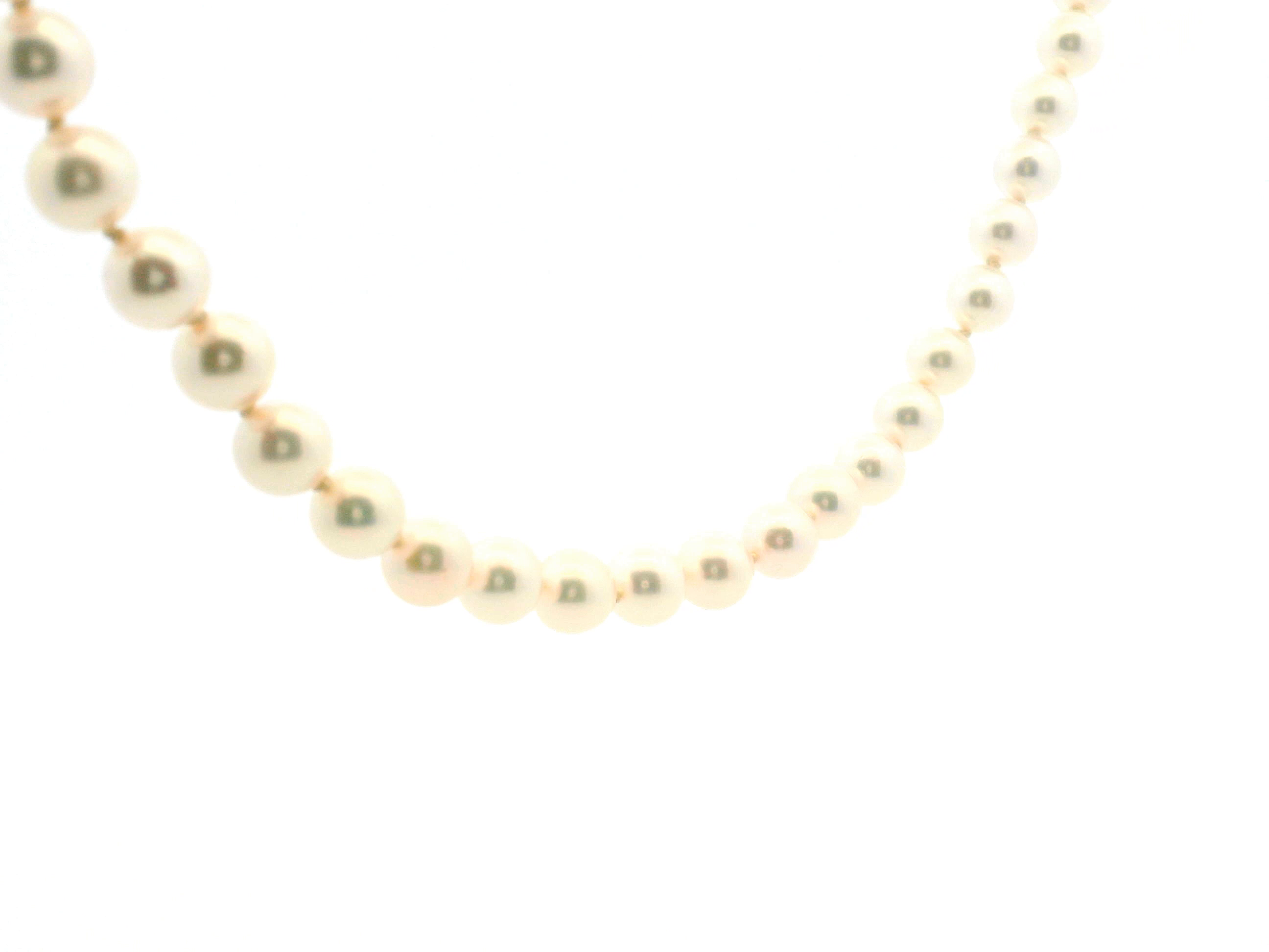 Pearl Necklace