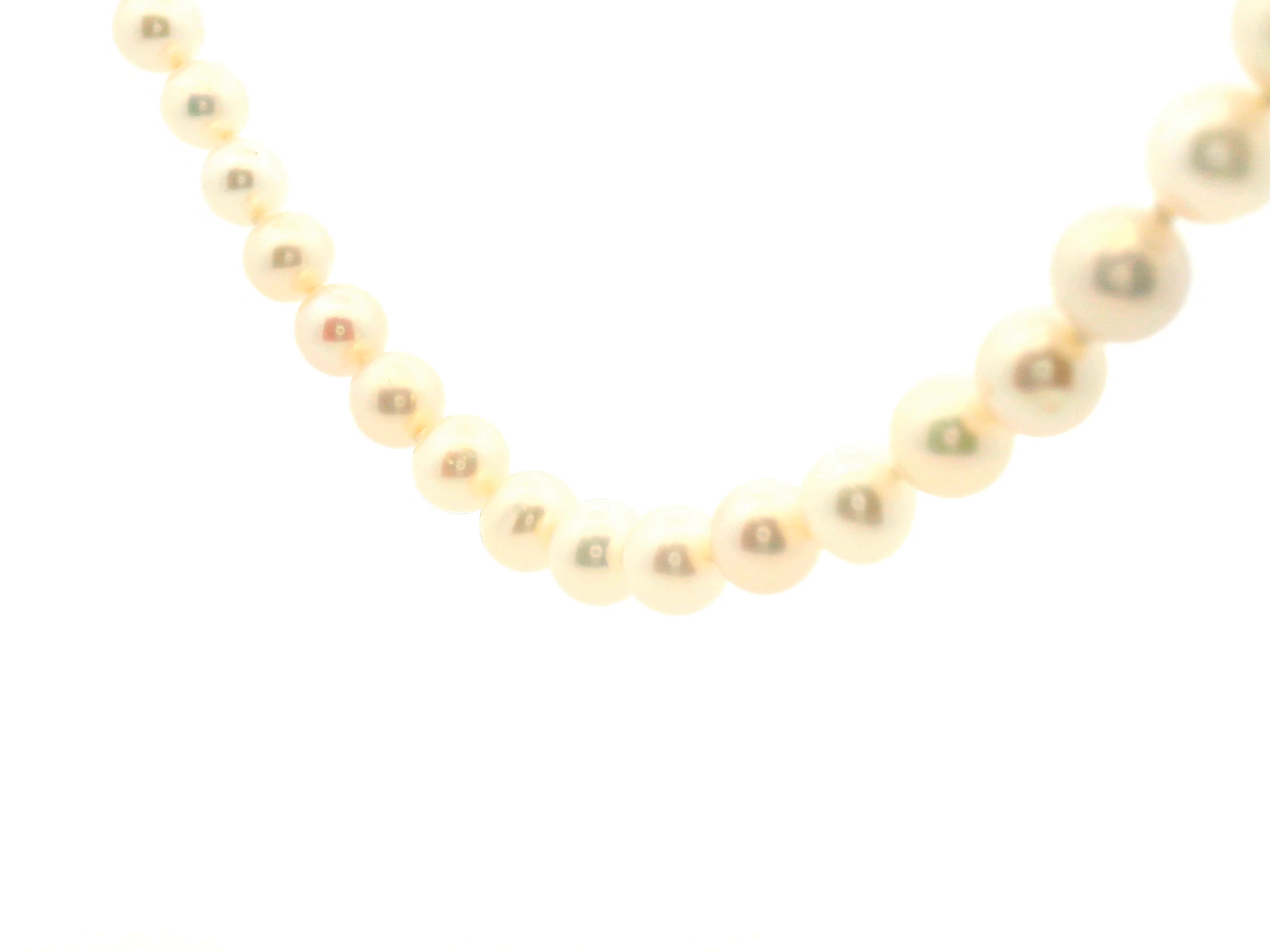 Pearl Necklace