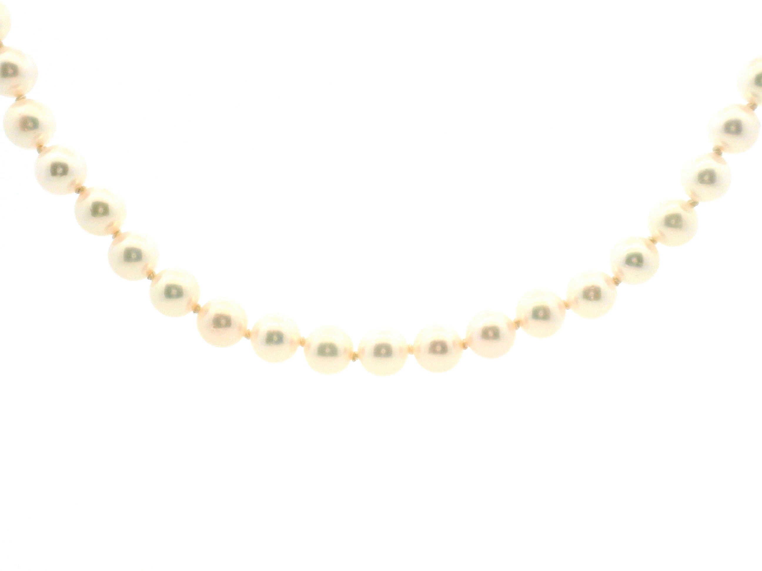 Pearl Necklace